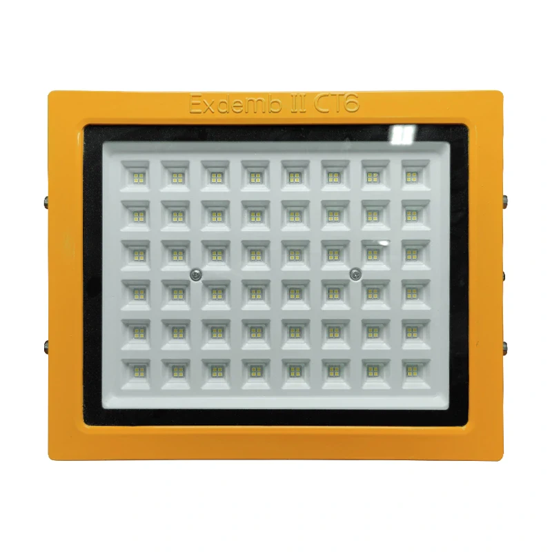 Đèn phòng nổ DNP1S150 - Ảnh 2