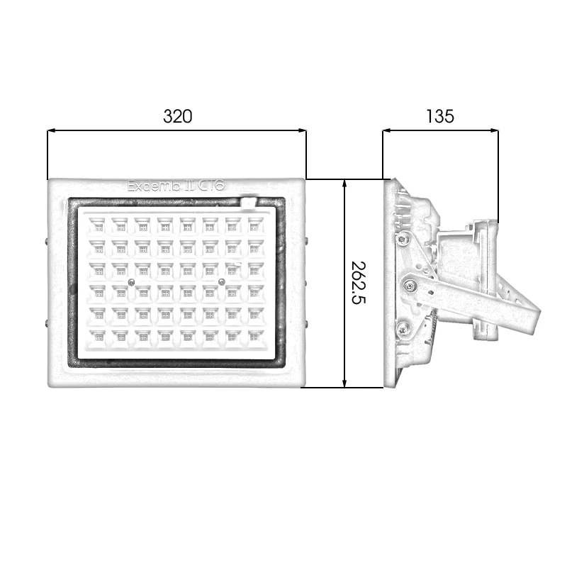 Đèn phòng nổ DNP1S150 - Ảnh 7