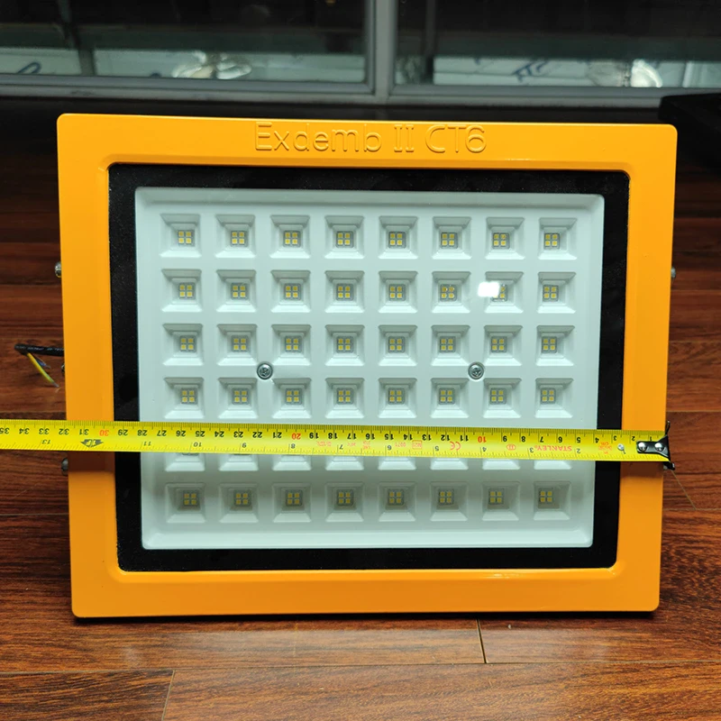 Đèn phòng nổ DNP1S150 - Ảnh 5