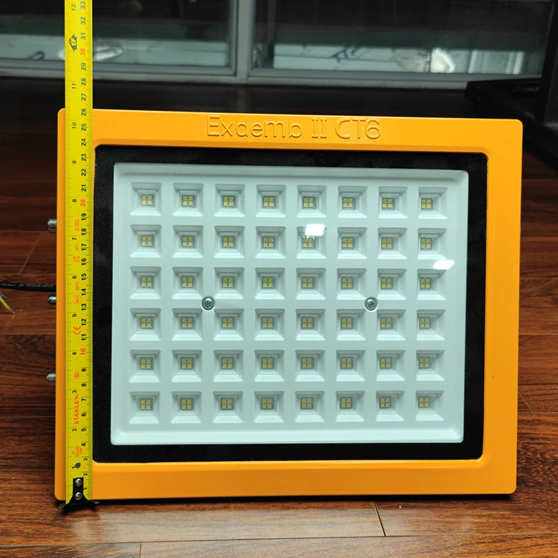 Đèn phòng nổ DNP1S150 - Ảnh 4