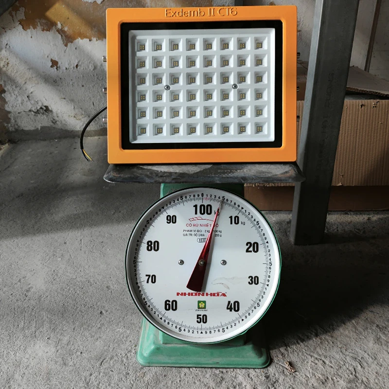 Đèn phòng nổ DNP1S150 - Ảnh 3