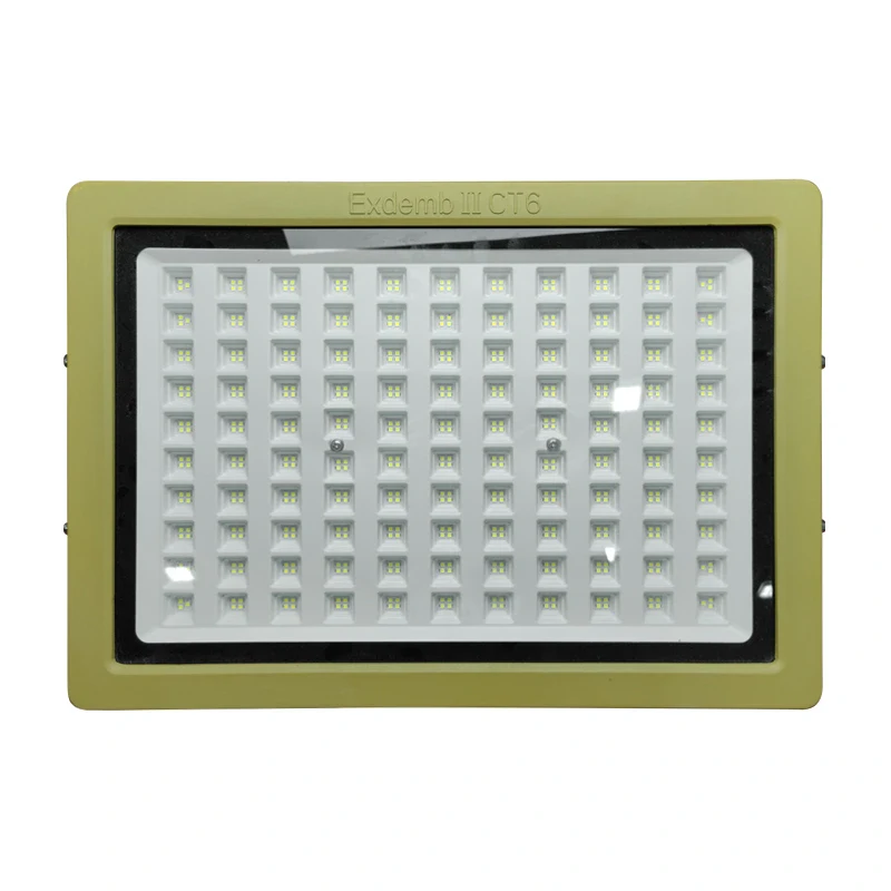 Đèn phòng nổ DNP1S400 - Ảnh 2