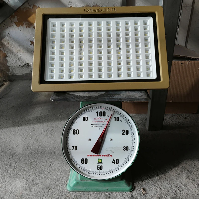 Đèn phòng nổ DNP1S400 - Ảnh 3